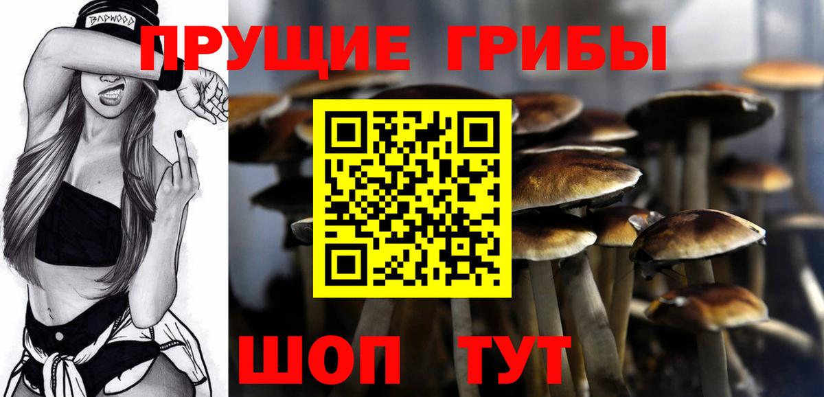 Псилоцибиновые грибы Cubensis  Псилоцибиновые грибы Psilocybine cubensis  Ачхой-Мартан  Вход с VPN 